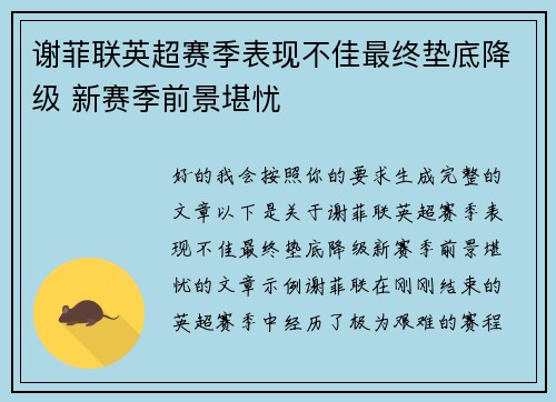 谢菲联英超赛季表现不佳最终垫底降级 新赛季前景堪忧 谢菲联英超赛季表现不佳最终垫底降级 新赛季前景堪忧