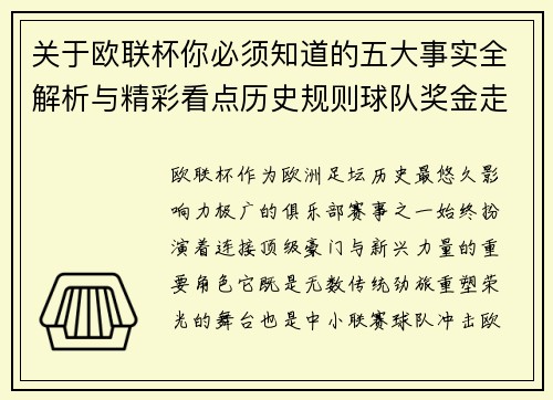 关于欧联杯你必须知道的五大事实全解析与精彩看点历史规则球队奖金走势
